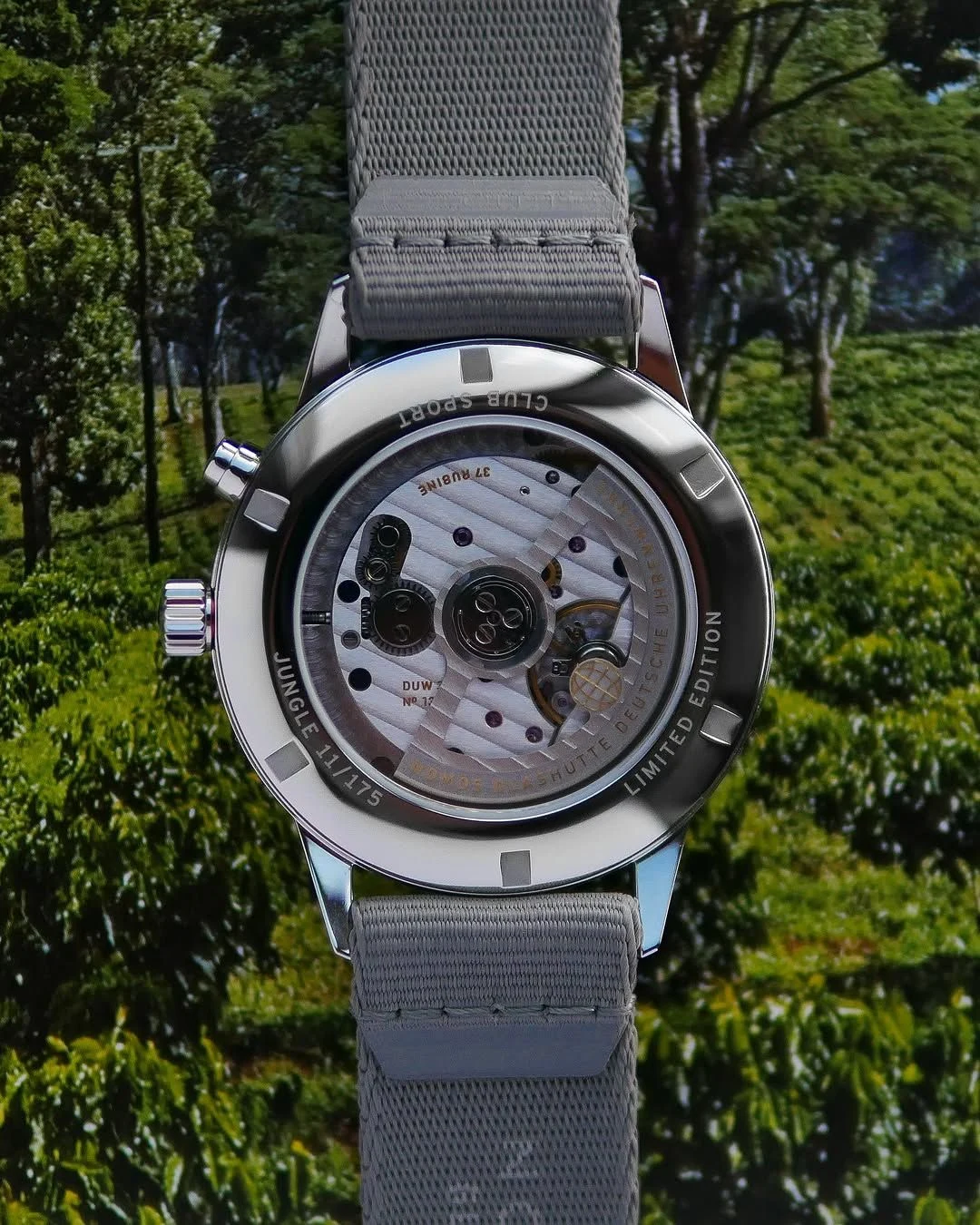 Caseback of the Club Sport neomatik Worldtimer Jungle