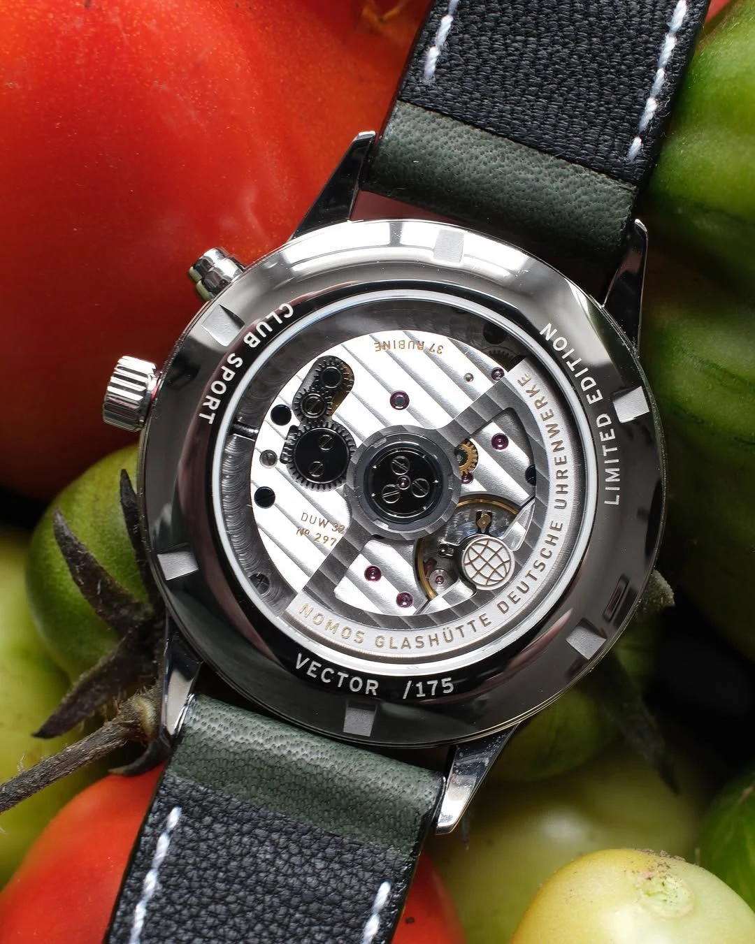 Caseback of the Club Sport neomatik Worldtimer Vector